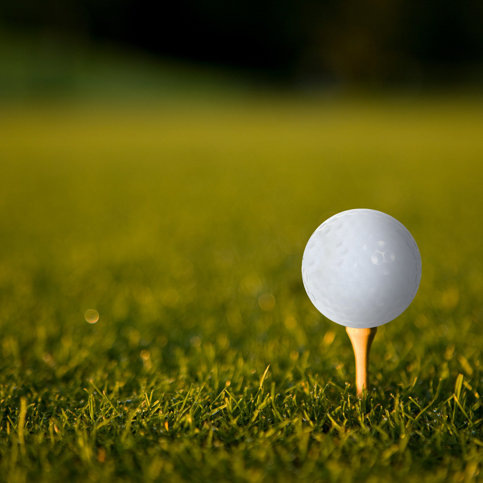 Indoor Practice Golf Balls Equ - Golf Equipment For Beginners recension och pris